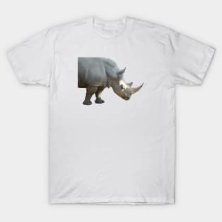 Rhino / Swiss Artwork Photography T-Shirt